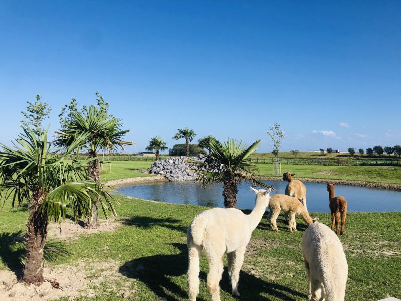 Funny Farm Ouddorp